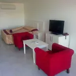 Hotel Club Flipper Bodrum *
