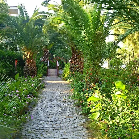 Club Flipper Bodrum Hotell Yalıkavak